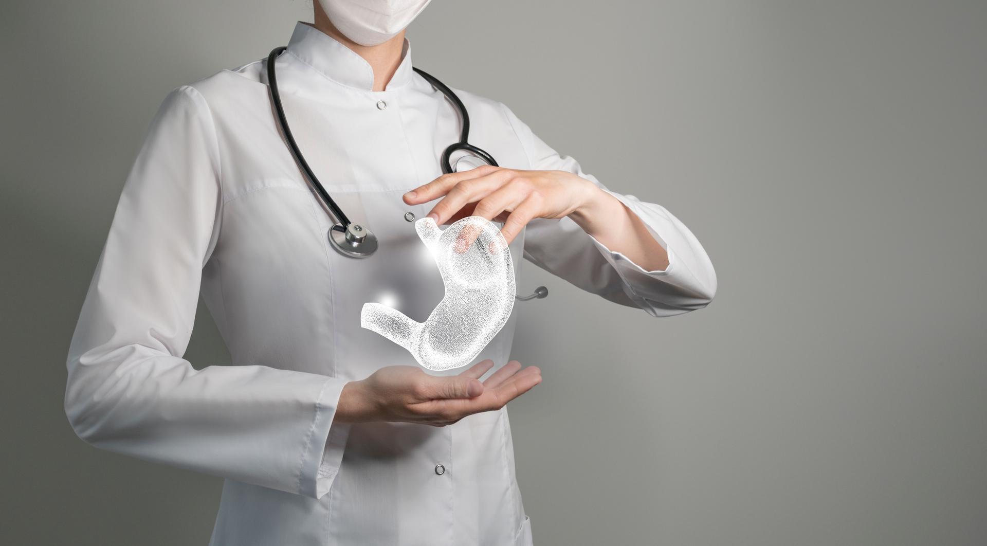 Unrecognizable doctor holding highlighted handrawn Stomach in hands. Medical illustration, template, science mockup.