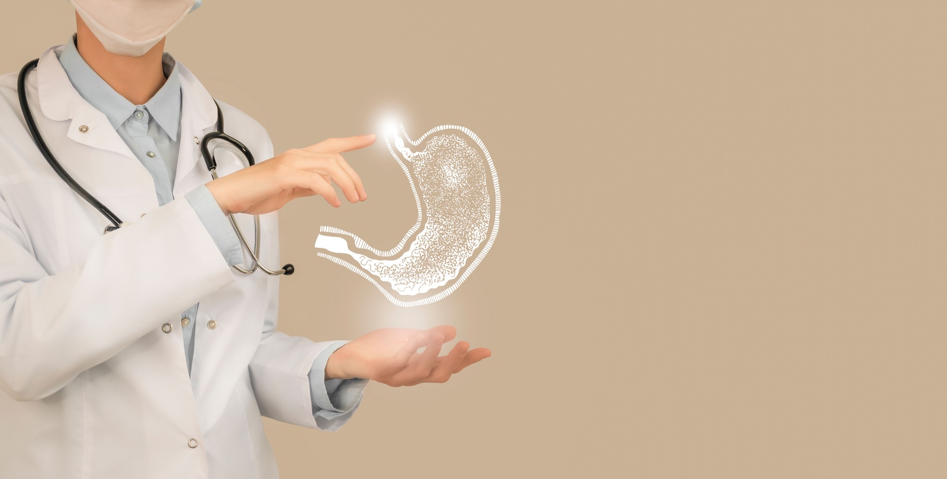 Unrecognizable doctor holding highlighted handrawn Stomach in hands. Medical illustration, template, science mockup.